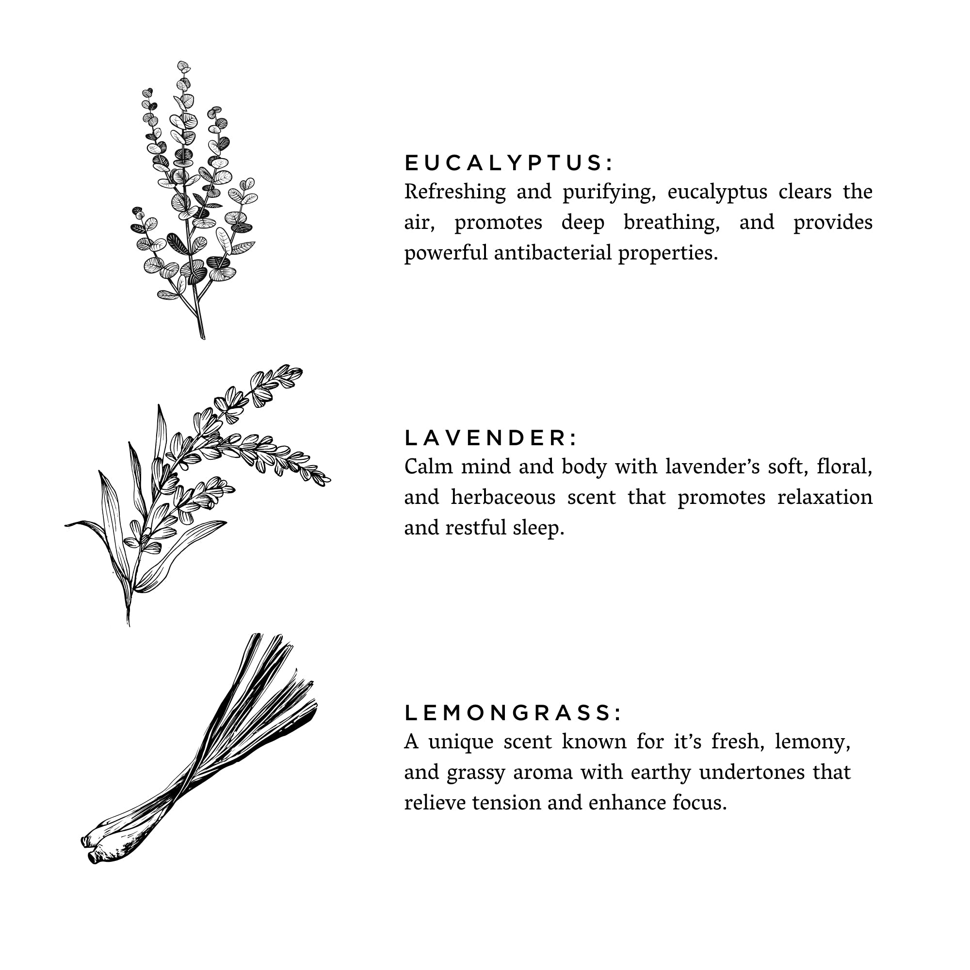 Shangri-La Reed Diffuser – Natural Aromatherapy Diffuser Sticks | Eco Friendly Home Fragrance