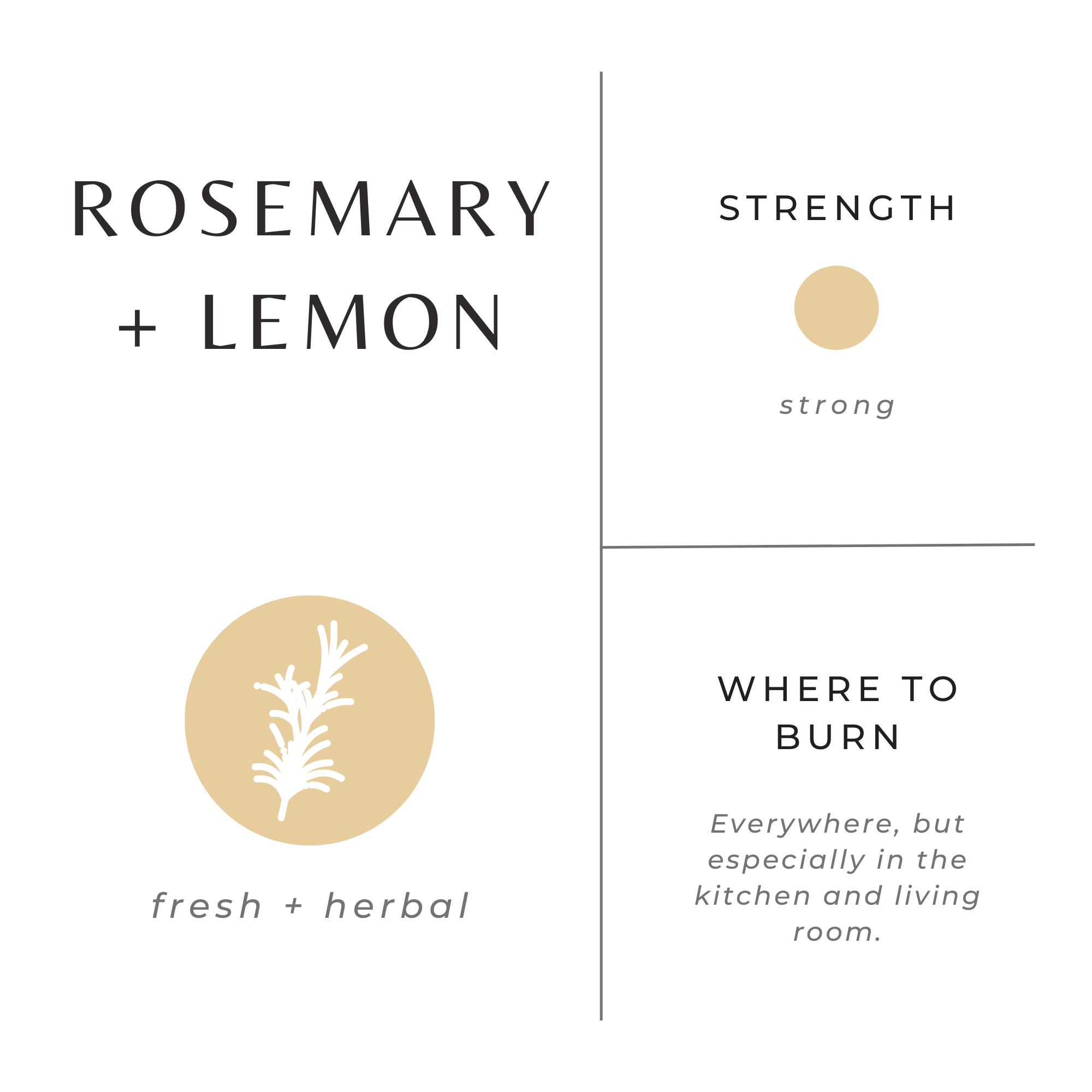 Rosemary Lemon Candle – Eco Friendly Aromatherapy Candle With Fresh Citrus & Herbal Scent